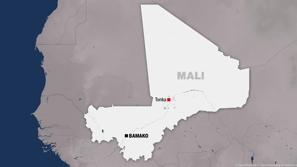 militants in Mali